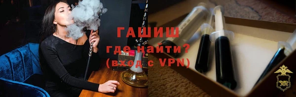 стаф Ельня